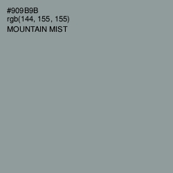 #909B9B - Mountain Mist Color Image